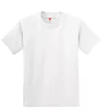 Hanes ®  – Youth Authentic 100%  Cotton T-Shirt.  5450